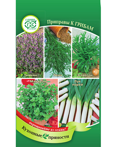 кухонные пряности к грибам