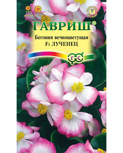 Бегония Лученец F1 вечноцветущая, гранулы 5шт. в пробирке Гавриш