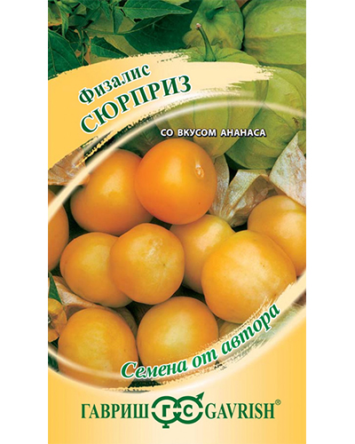 Физалис Сюрприз (изюмный)* 20шт. авторские семена Гавриш