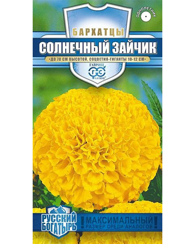 бархатцы солнечный зайчик