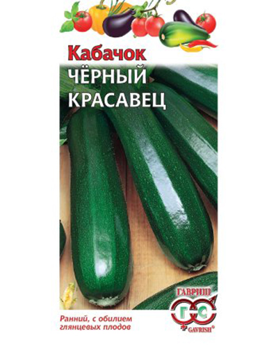 Кабачок Черный красавец 2г. Гавриш