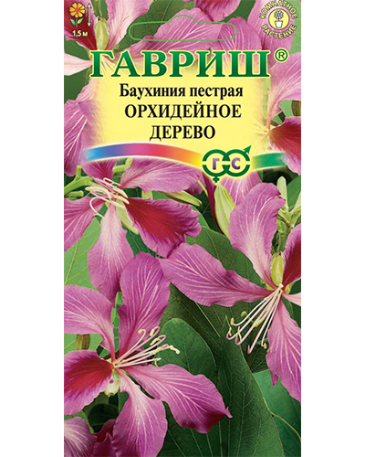 баухиния