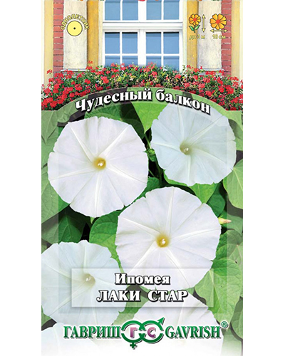 Ипомея Лаки Стар 3шт. серия Чудесный балкон ГАВРИШ  Ипомея Лаки Стар 3шт. серия Чудесный балкон ГАВРИШ