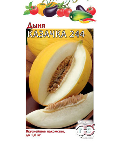 Дыня Казачка 244 1,0г. Гавриш