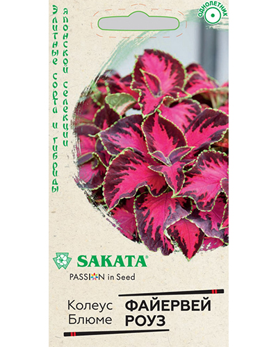 Колеус Файервей Роуз 5шт. Саката ГАВРИШ