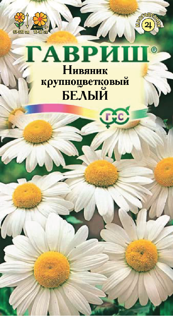 nivyanik_krupnoczvetkovyj_belyj_mini4