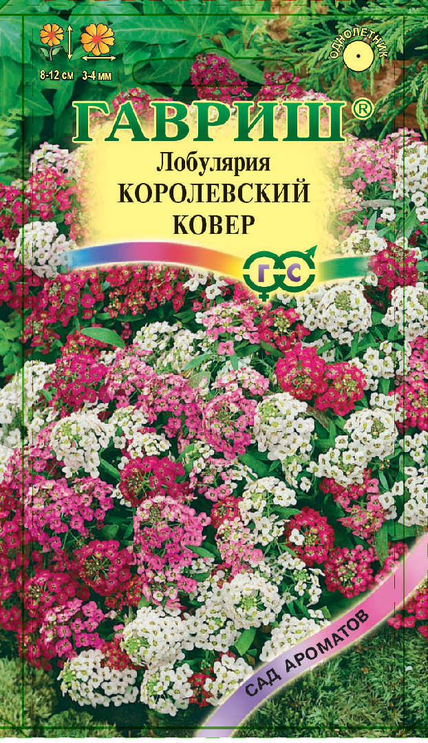 lobulyariya_kover_mini4