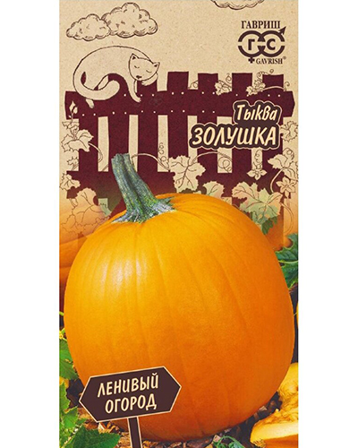 тыква золушка
