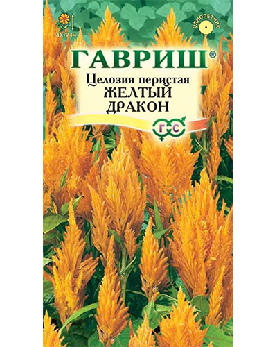 целозия желтый дракон