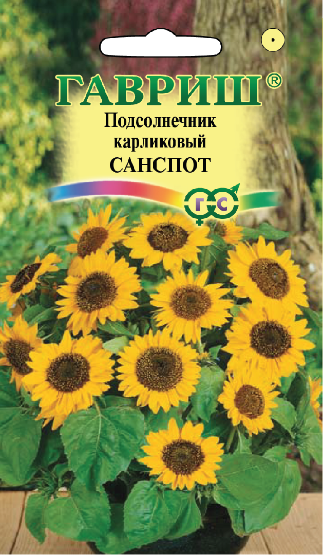 Подсолнечник карликовый Санспот 0,5 г ГАВРИШ