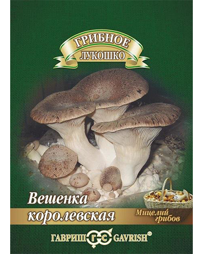 Вешенка Королевская на древесной палочке, большой пакет 12шт. Гавриш
