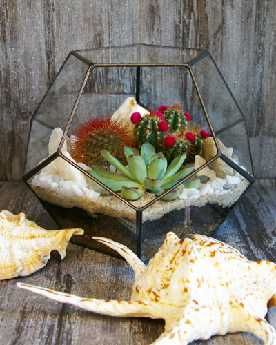 Флорариум "Додекаэдр" 20*20см. 00004