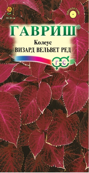 Колеус Визард Вельвет ред 4шт.* Элитная клумба Н15 ГАВРИШ