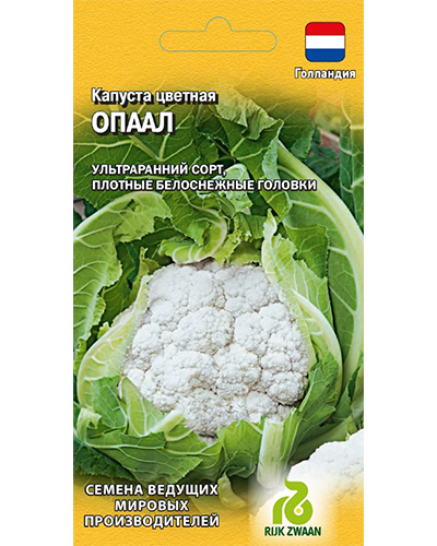Капуста цветная Опаал 10шт. (Голландия) ГАВРИШ
