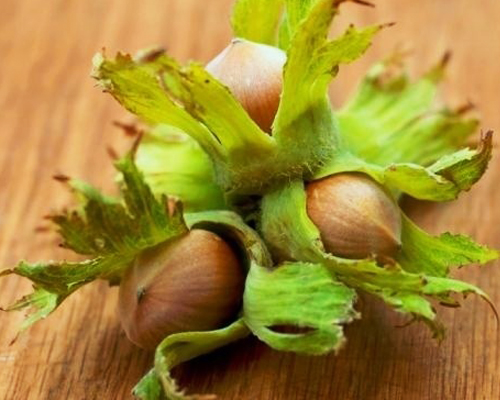 Фундук Керасунд Фундук Керасунд