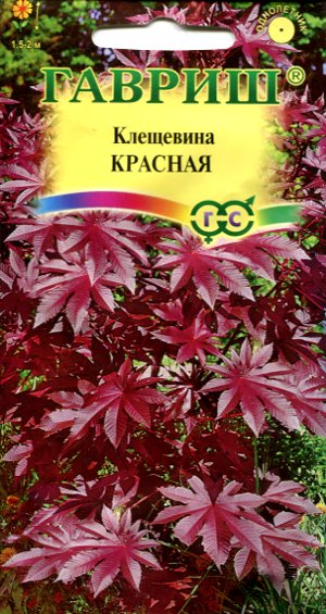 Клещевина обыкновенная Красная 5 шт. ГАВРИШ