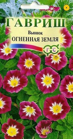 Вьюнок Огненная земля 0,5г. ГАВРИШ Вьюнок Огненная земля 0,5г. ГАВРИШ