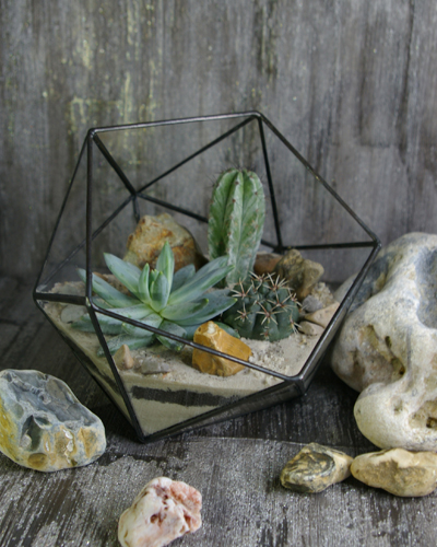 Флорариум "Икосаэдр" 15*16см. 00003