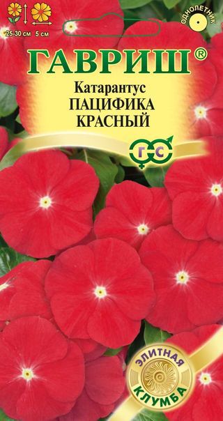 Катарантус Пацифика Красный* 7 шт. сер. Элитная клумба Н13 ГАВРИШ Катарантус Пацифика Красный* 7 шт. сер. Элитная клумба Н13 ГАВРИШ