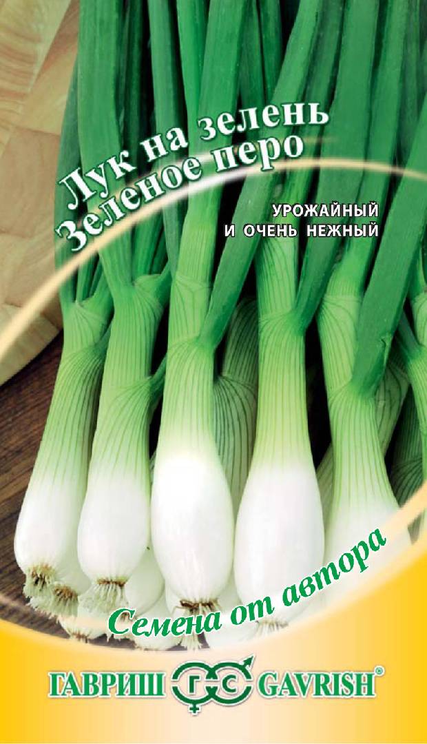 Лук на зелень Зеленое перо 0,5 г авторские семена Н11 ГАВРИШ