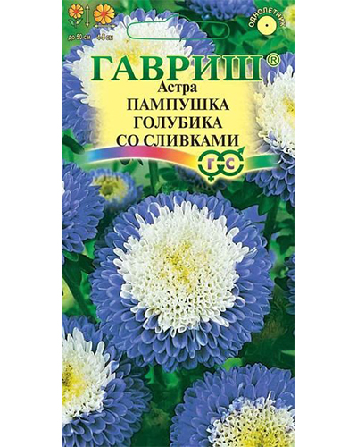 Астра Пампушка голубика со сливками 0,3г. (помпонная) ГАВРИШ