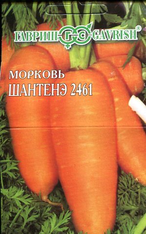 Морковь на ленте Шантенэ 2461 300шт. ГАВРИШ