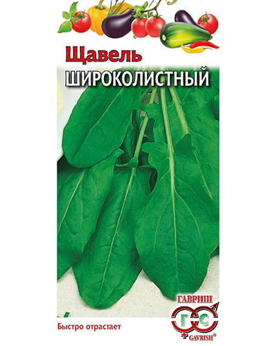 Щавель Широколистный 0,5г. ГАВРИШ Щавель Широколистный 0,5г. ГАВРИШ