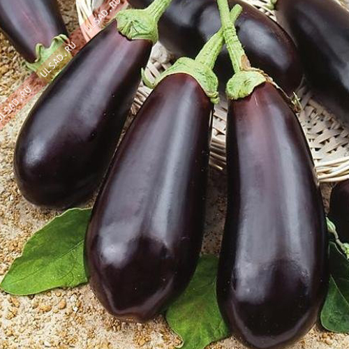 Баклажан Алмаз