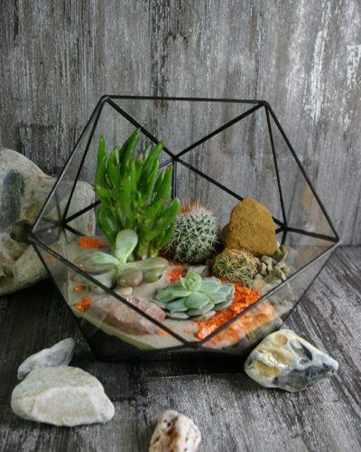 Флорариум "Икосаэдр" 19*20см. 00002