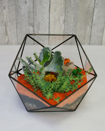 Флорариум "Икосаэдр" 19*20см. "пчелка" 00006