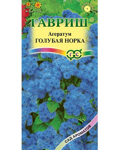 агератум голубая норка