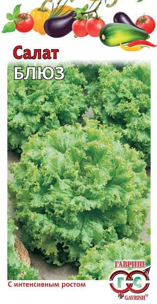 Салат Блюз 0,5 г, листовой ГАВРИШ