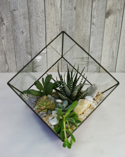 Флорариум "Куб" 21*21см. 00013