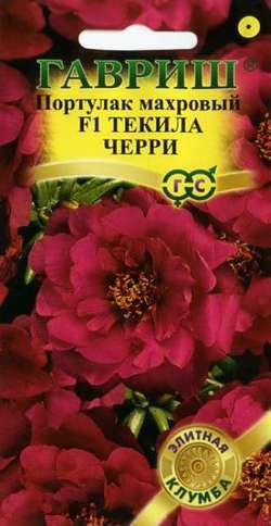 Портулак Текила Черри F1* 5 шт. сер. Элитная клумба ГАВРИШ