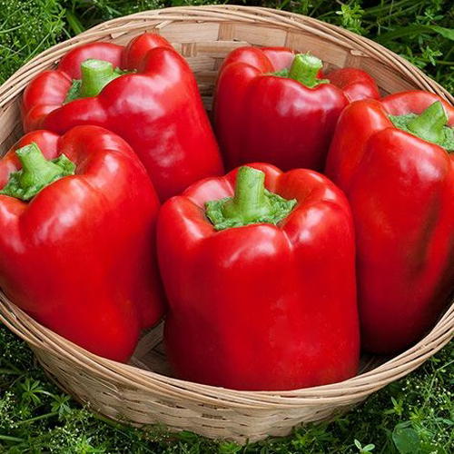 Перец сладкий Калифорнийское Чудо