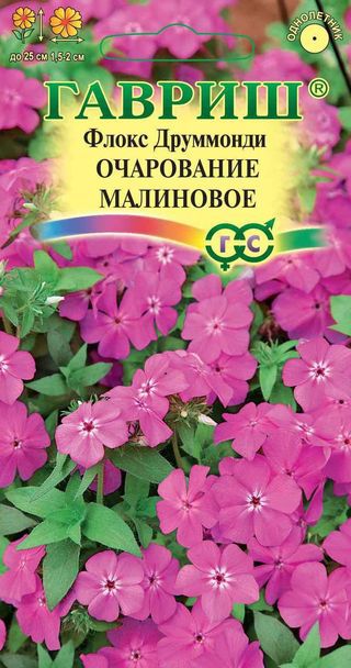 Флокс Очарование малиновое, друммонди* 0,05 г Н12 ГАВРИШ Флокс Очарование малиновое, друммонди* 0,05 г Н12 ГАВРИШ