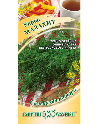 укроп малахит