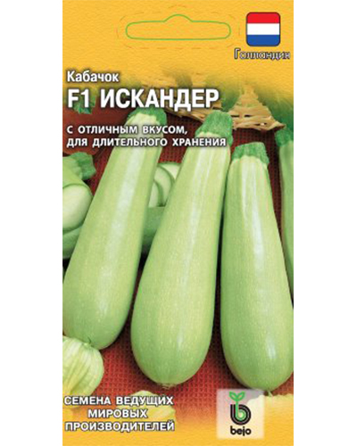 Кабачок Искандер F1 5шт. (Голландия) Гавриш