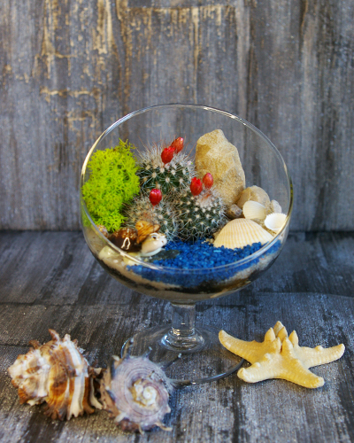 Флорариум-бокал с косым резом 14*11см. "Черепашка" 00017