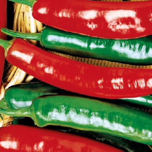 Перец острый Алексинский