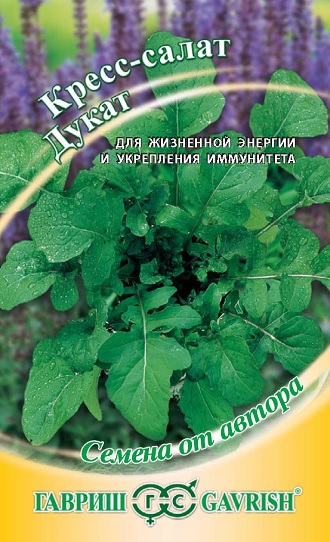 10007389_mini4 10007389_mini4