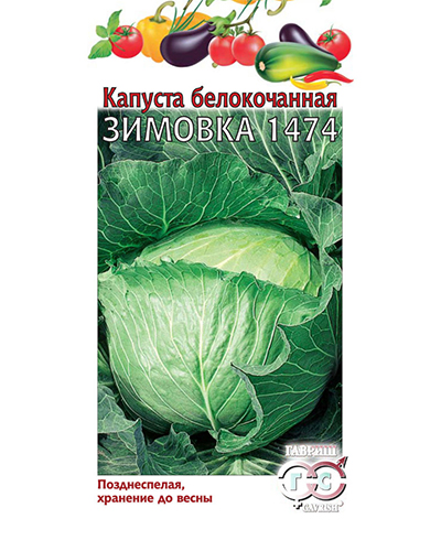 Капуста белокочанная Зимовка 1474 0,5г (для хранения) ГАВРИШ