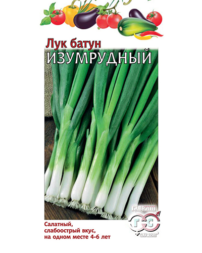 Лук батун Изумрудный 0,5г. Гавриш