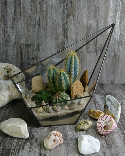 Флорариум "Ассиметрия" 25*28см. 00001