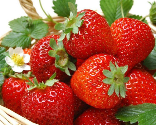 Клубника Кристин