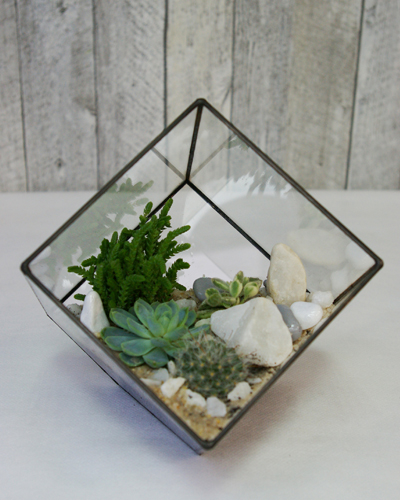 Флорариум "Куб" 16*16см. 00014