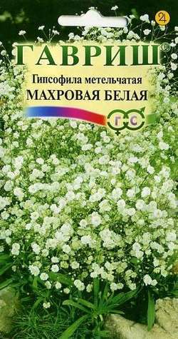 Гипсофила метельч. Махровая белая* 0,1 г ГАВРИШ Гипсофила метельч. Махровая белая* 0,1 г ГАВРИШ