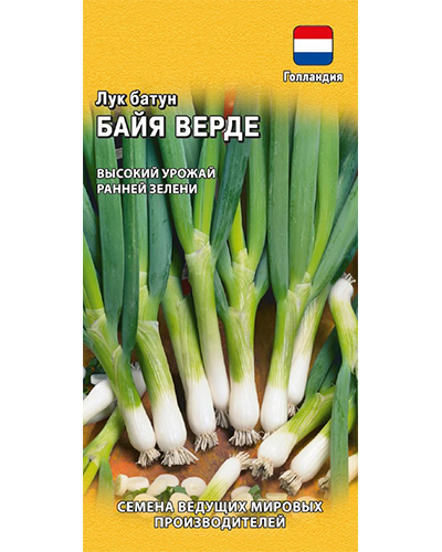 Лук-батун Байя Верде 0,2г. (Голландия)  ГАВРИШ