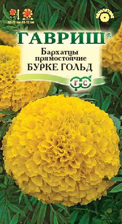 Бархатцы прямостоячие Бурке Гольд (Тагетес) 0,3 г ГАВРИШ