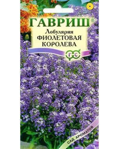 Лобулярия Фиолетовая королева 0,2г. серия Сад ароматов Гавриш Лобулярия Фиолетовая королева 0,2г. серия Сад ароматов Гавриш